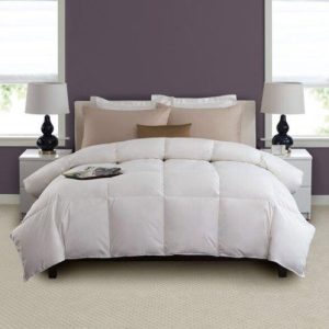 Comforters - Guest Room